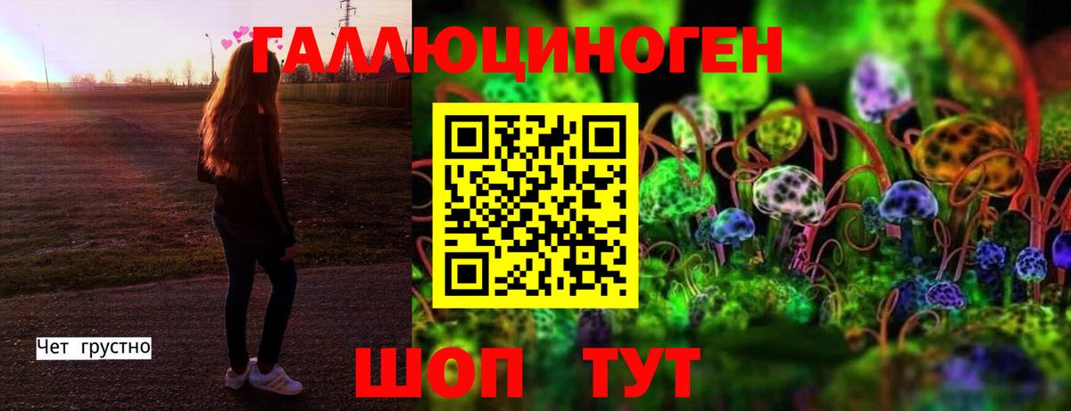 Галлюциногенные грибы Psilocybine cubensis Нижний Тагил